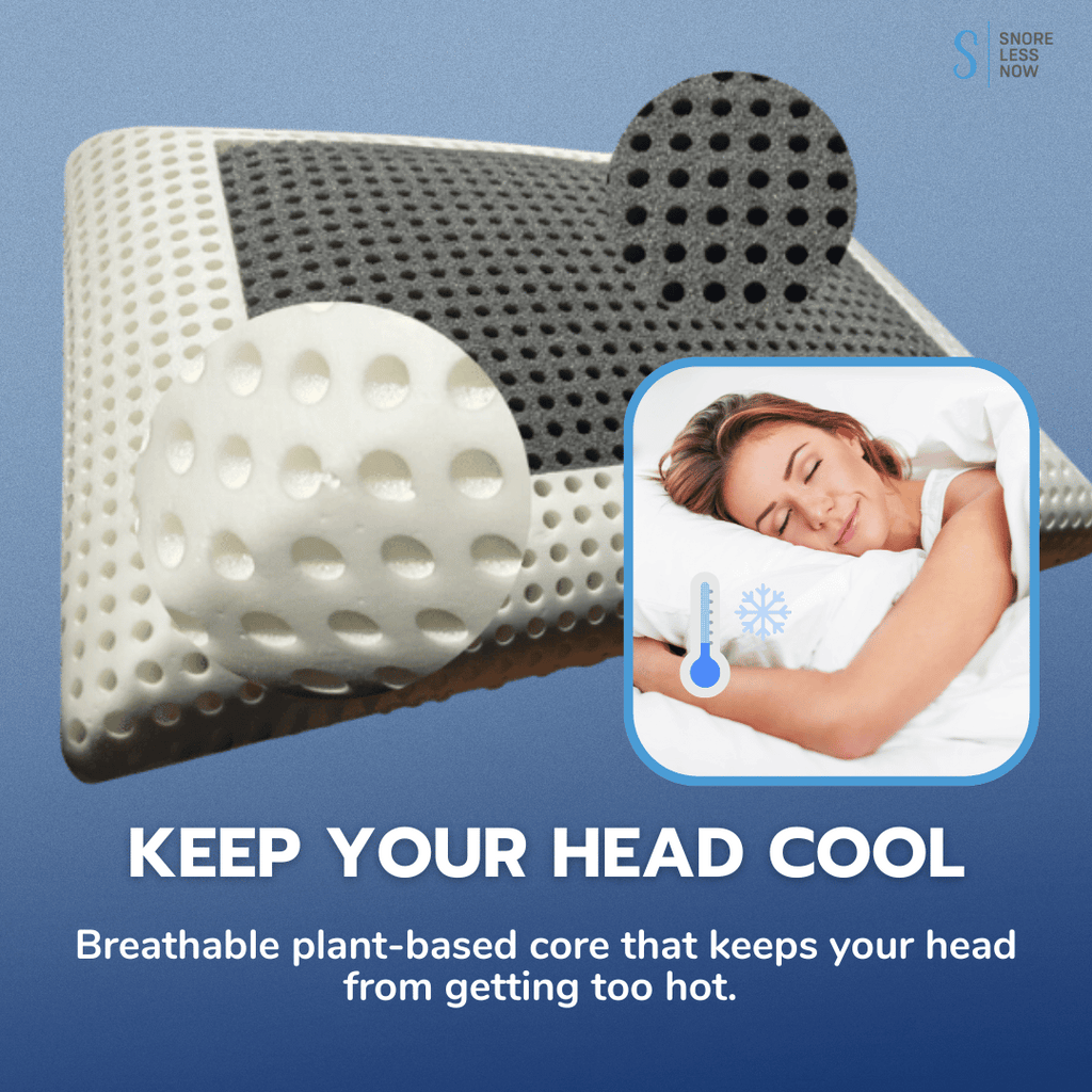 Luxury Memory Foam SilverSafe Pillow